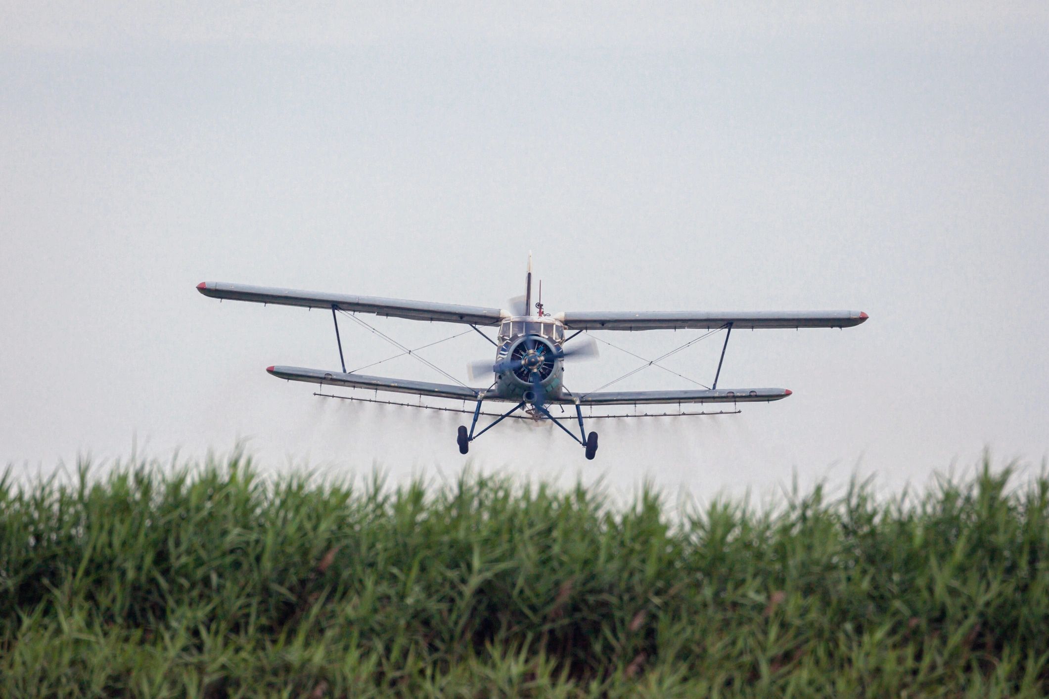 Crop duster aircraft used in fumigation operations